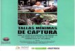 Tallas mínimas de captura de las principales especies de peces comerciales de Colombia