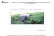 Manual de Poduccion de Chia Salvia Hispanica