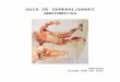 Guia de Generalidades Anatomicas