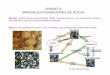 Minerales y Rocas.pdf