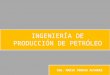 INGENIERIA DE PRODUCCION vf.ppt