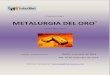 Programa Integral Metalurgia Del Oro - Virtual 2014