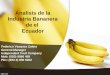 Fe3derico Vasquez, Presentacion en El Gdr Sobre Banano