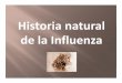 Historia Natural de La Influenza