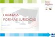 EIE UT6 Formas Juridicas y Tramites Constitucion-2