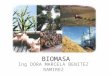 BIOMASA Biocombustibles PDF Febrero 201310