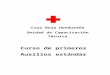 Manuak Primeros Auxilios Cruz Roja