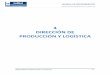 06. Manual de Procedimientos Direccion de Produccion y Logistica