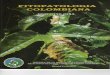 FITOPATOLOGIA COLOMBIANA 34-2.pdf