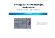 Laboratorios de Microbiologia Ambiental