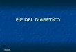 Pie Del Diabetico1