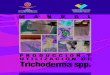 Manual de Producción y utilización de Trichoderma