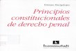 BACIGALUPO Enrique - Principios Constitucionales de Derecho Penal