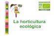 Horticultura Eco