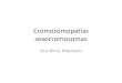 Cromosomopatías sexocromosomas UA ene jun 2013