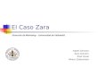 Presentacion Zara