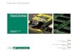 RoHS_Technical_Manual_Esp sobre soldarura plomo plata oficial.pdf