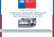 manual facilitador Prevención de Riesgos para Conductores y conductoras de licencia A, B Y C.pdf