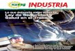 Industria Peruana 878