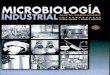 Microbiologia Industrial FERMENTACIONES - Alicia
