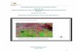 Anexo 1 Informe Bibliografico Arqueologico Fell Norte