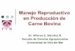 Manejo Reproductivo en Producción de Carne Bovina AS