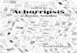 Xenakis - Analisis de Achorripsis