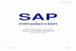 Introducción SAP R3