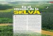173064703 en El Corazon de La Selva(1)