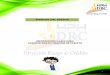 Guía del Ejecutivo Comercial HPH - OCT-2013
