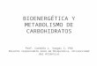 Bioenergetica y Metabolismo de Carbohidratos (1)