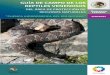 Guia de Campo de Los Reptiles Venenosos - Rio Nexaca Mexico (1)