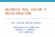 Quimica Del Color y Decoloracion