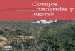 Cortijos Haciendas y Lagares