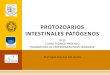 protozoarios patogenos primarios