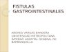 FISTULAS GASTROINTESTINALES ANDRES VARGAS.ppt