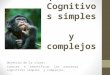 Los Procesos Cognitivos Simples y Complejos