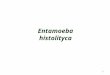 3.Entamoeba histolytica.ppt