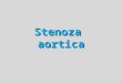 CURS Stenoza Aortica 2012