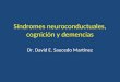 Síndromes neuroconductuales, cognición y demencia 21-ago-2013.ppt