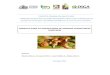 Manual Producción de hongos comestibles (shiitake)