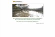 Aragon-Informe de Sostenibilidad Ambiental