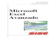 Manual de Excel 2010 Avanzado