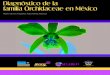 Diagnostico de La Familia Orchidaceae en Mexico