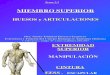 4.1 Miembro Superior Huesos y Articulaciones.ppt