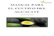 51078273 Manual Para El Establecimiento de Una Huerta de Aguacate