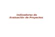 Indicadores de Evaluacion de Proyectos 2013 DEF