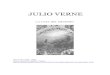 Julio Verne - La caza del meteoro