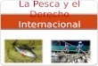 La Pesca Y El Derecho Internacional