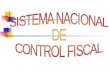 Sistema Nacional de Control Fiscal Definitivo